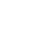 fan icon
