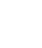 snowflake icon
